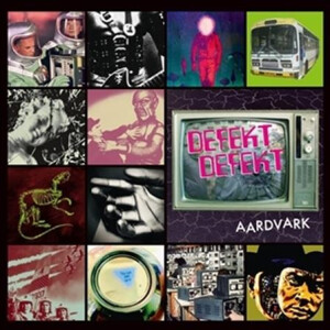 Defektdefekt - Aardvark lp