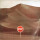 Epitaph - Stop Look And Listen
