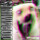 Dopamines - Hard Pass: Singles/Rarities 2006-2020