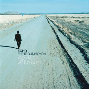 Echo and the Bunnymen - What Are You Going To Do?
