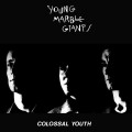 Young Marble Giants - Colossal Youth lp