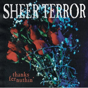 Sheer Terror - Thanks For Nuthin