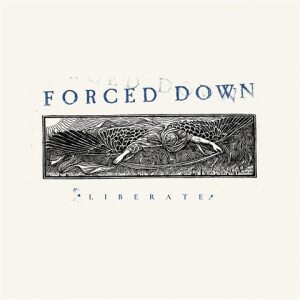 Forced Down - Liberate