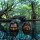Alphawhores - You Can Come Out Now - (green marbled) col lp