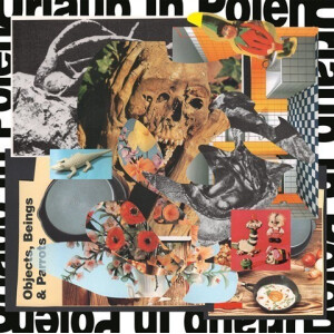 Urlaub In Polen - Objects, Beings and Parrots