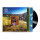 Cat Burns - How To Be Human lp
