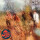 Spooky Tooth - Its All About lp