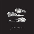 Jason Molina/MJ Lenderman - The Last Three Human...