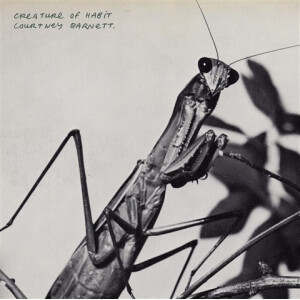 Courtney Barnett - Creature of Habit
