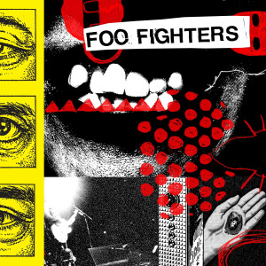 Foo Fighters - Your Favorite Toy cd