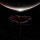 Muse - The Wow! Signal