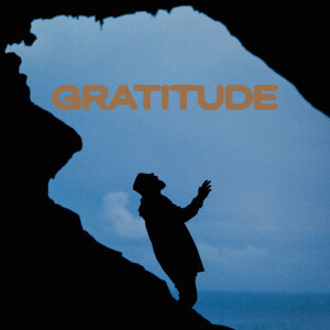 Gentleman - Gratitude 2xlp
