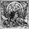 Lautstürmer / Tarantuja - split