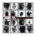Sum 41 - All Killer No Filler (25th Ann)