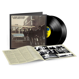 Flamin Groovies - Shake Some Action (50th Ann) 2xlp