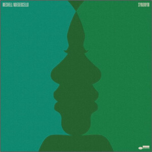 Meshell Ndegeocello - Synonym 2xlp