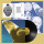 Protomartyr - Hotel Usona lp