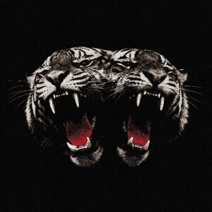 Royal Blood - Dead Company