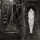Wolves In The Throne Room - Estuary