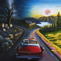 Haywire 617 - I Dont Wanna Say Goodbye lp