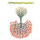 Lungfish - Love is love