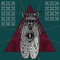 Miscalculations, The - Echolocation