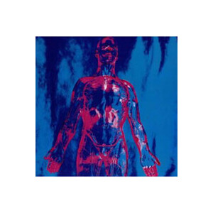 Nirvana - Sliver