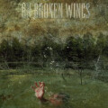 On Broken Wings - Going down