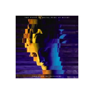 Pains Of Being Pure At Heart, The - The Echo of Pleasure