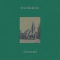 Peter Broderick - Grunewald