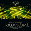 Primordial - Gods to the Godless (coloured)