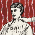 Reveal - Flystrips