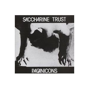 Saccharine Trust - Pagan Icons