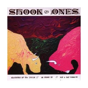 Shook Ones - Slaughter of the insole