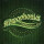 Stereophonics - Just enough Education to Perform
