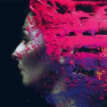 Steven Wilson - Hand.Cannot.Erase