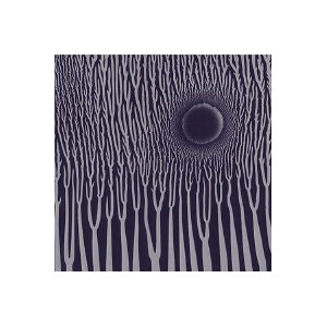 Sunn O))) - The GrimmRobe Demos