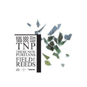 These New Puritans - Field Of Reeds