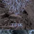 Tusk - Resisting dreamer