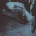 Vic Chesnutt - North Star Deserter
