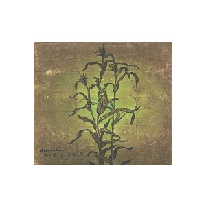 Woven Hand - The laughing stalk