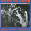 Youth Of Today - Break down the Walls