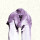 Antlers, The - Familiars - cd