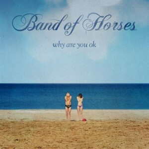 Band of Horses - Why Are You Okay - cd