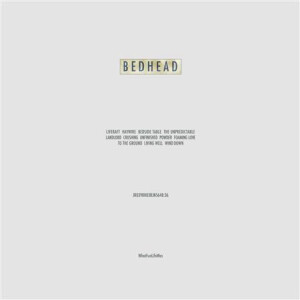 Bedhead - What Fun Life Was lp
