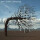 Biffy Clyro - Opposites - cd