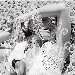 Björk - Vespertine 2xlp