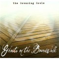 Bouncing Souls, The - Ghosts on the boardwalk - cd