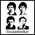 Buzzcocks - Secret publics: best in good food - 2xlp