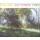 Cat Power - You are free - lp
